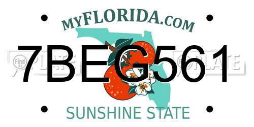 7BEG561 Florida License Plate