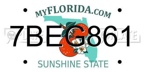 7BEG861 Florida License Plate