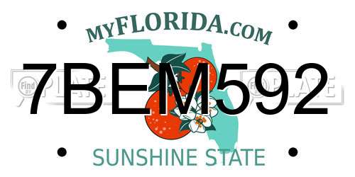 7BEM592 Florida License Plate