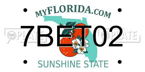7BET02 Florida License Plate
