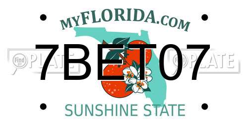 7BET07 Florida License Plate