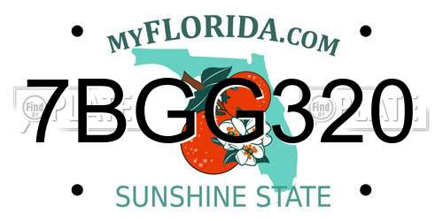 7BGG320 Florida License Plate