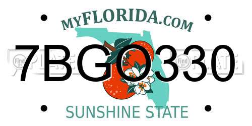 7BGO330 Florida License Plate