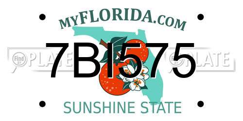 7BI575 Florida License Plate