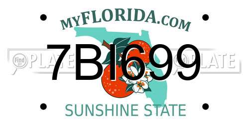 7BI699 Florida License Plate
