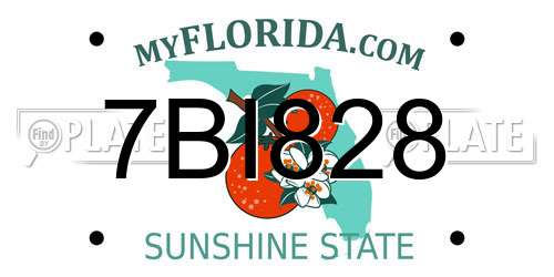 7BI828 Florida License Plate