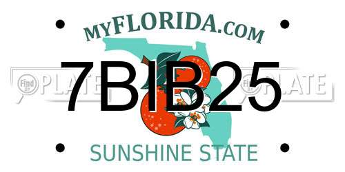 7BIB25 Florida License Plate
