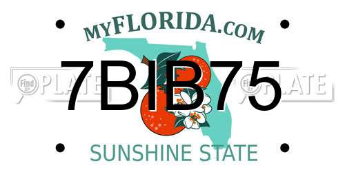 7BIB75 Florida License Plate