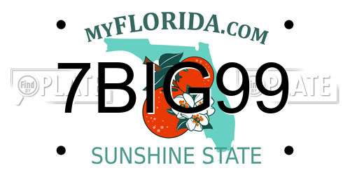 7BIG99 Florida License Plate