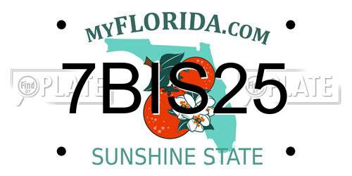 7BIS25 Florida License Plate
