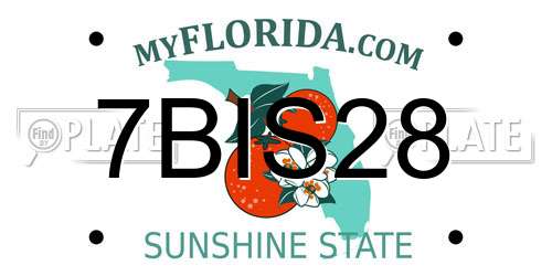7BIS28 Florida License Plate