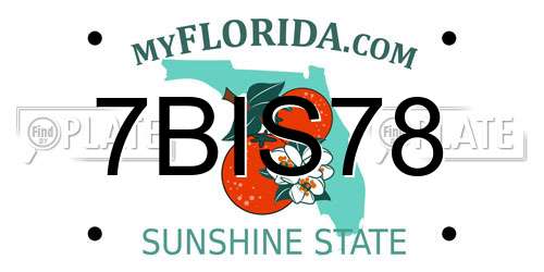 7BIS78 Florida License Plate