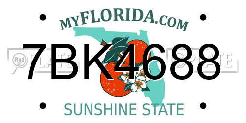 7BK4688 Florida License Plate