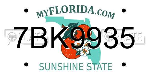 7BK9935 Florida License Plate