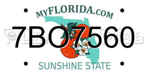 7BO7560 Florida License Plate