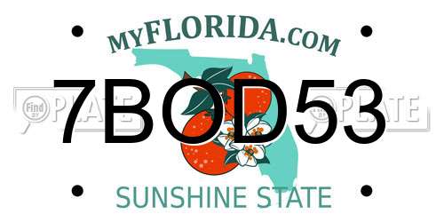 7BOD53 Florida License Plate