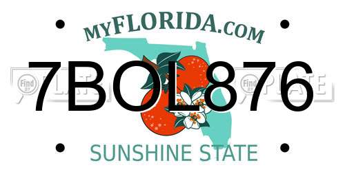 7BOL876 Florida License Plate