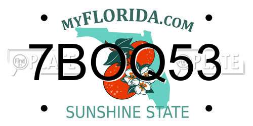 7BOQ53 Florida License Plate