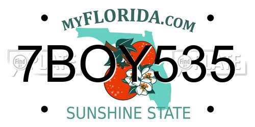 7BOY535 Florida License Plate