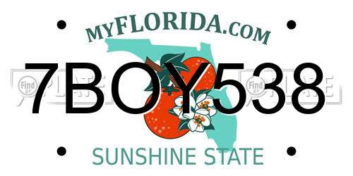 7BOY538 Florida License Plate