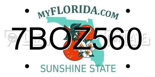 7BOZ560 Florida License Plate