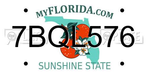 7BQL576 Florida License Plate