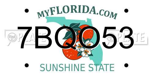 7BQO53 Florida License Plate