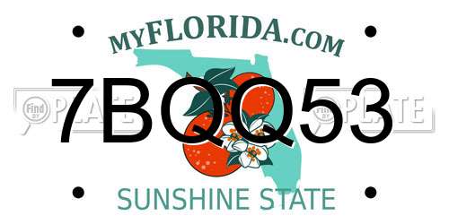 7BQQ53 Florida License Plate