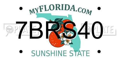 7BRS40 Florida License Plate