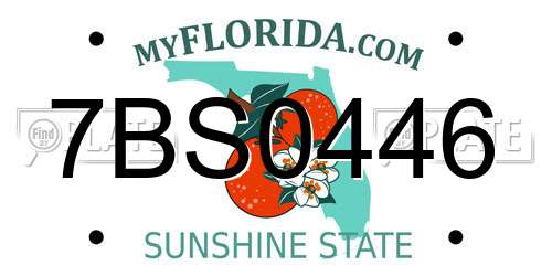 7BS0446 Florida License Plate