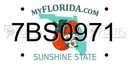 7BS0971 Florida License Plate
