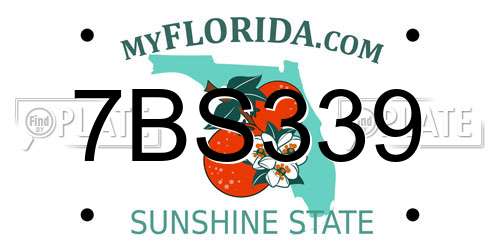 7BS339 Florida License Plate