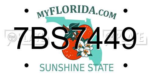 7BS7449 Florida License Plate
