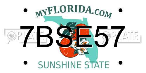 7BSE57 Florida License Plate