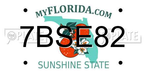 7BSE82 Florida License Plate
