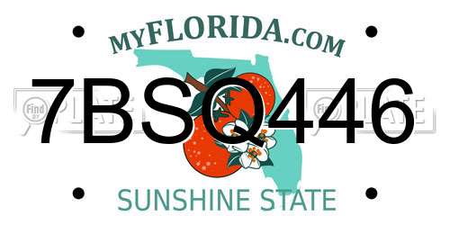 7BSQ446 Florida License Plate