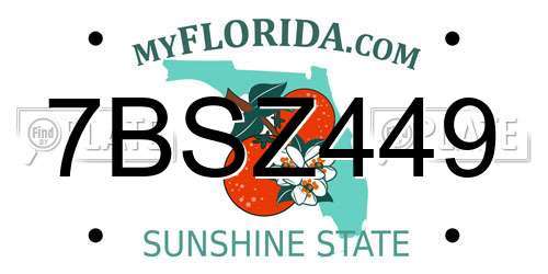 7BSZ449 Florida License Plate
