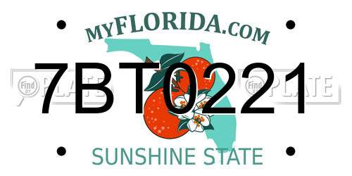7BT0221 Florida License Plate