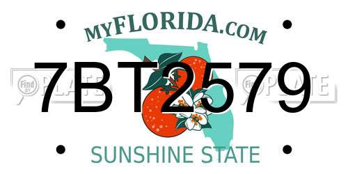 7BT2579 Florida License Plate