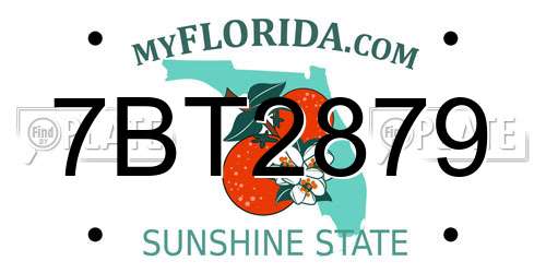 7BT2879 Florida License Plate