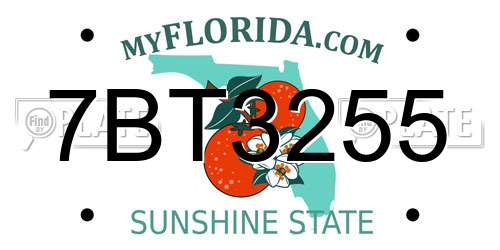 7BT3255 Florida License Plate