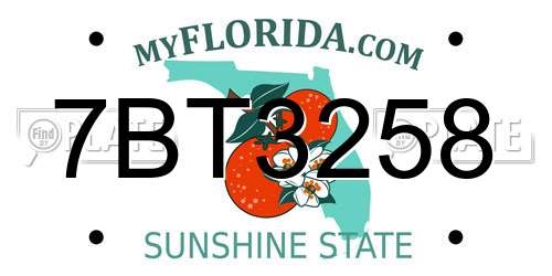 7BT3258 Florida License Plate