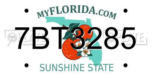 7BT3285 Florida License Plate