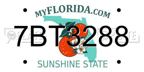 7BT3288 Florida License Plate