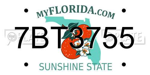 7BT3755 Florida License Plate
