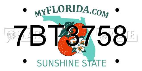 7BT3758 Florida License Plate