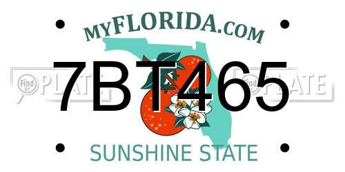 7BT465 Florida License Plate