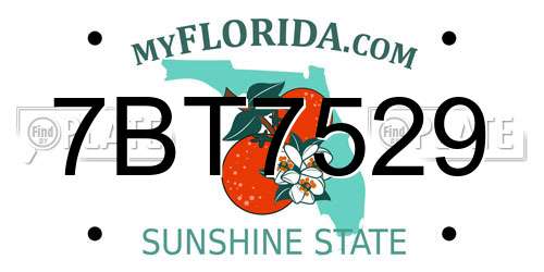 7BT7529 Florida License Plate