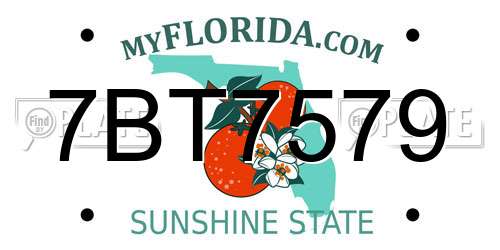 7BT7579 Florida License Plate