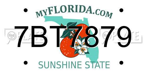 7BT7879 Florida License Plate